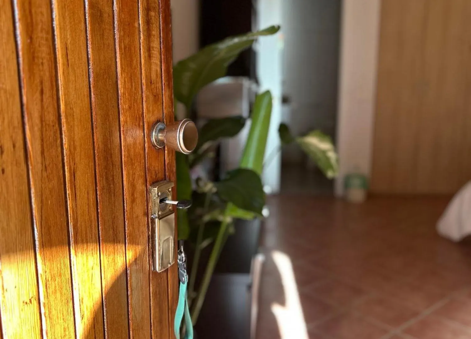 Le Tre Orchidee Apartments Florence